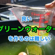 メダカの稚魚はグリーンウォーターだと餌なしで成長できる めだかやベース